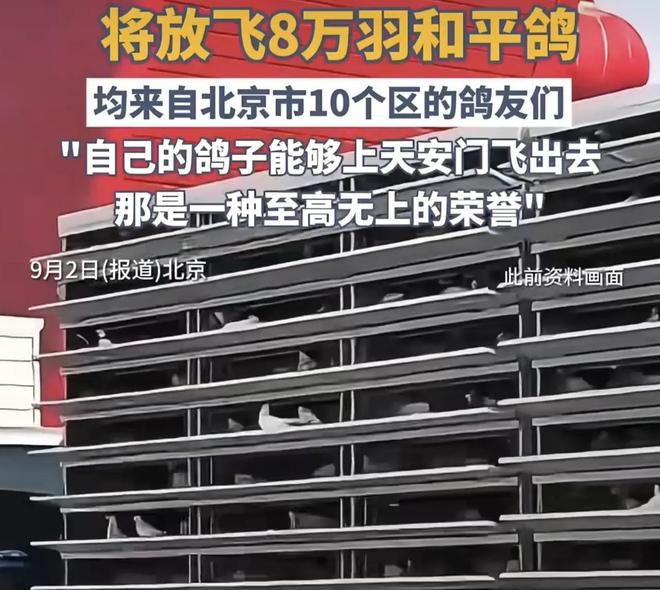 ”的关在特殊笼子放飞有的已经到家了开元棋牌试玩8万羽和平鸽都是“借来(图2)